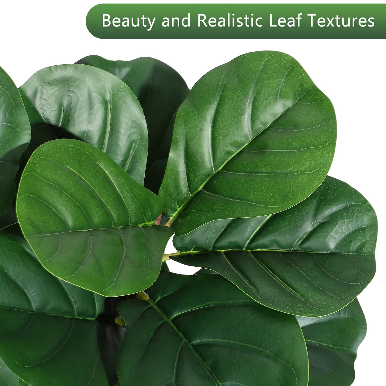 Pohon Ficus Lyrata Buatan Ting - Ficus Lyrata Tree ulasan dan harga
