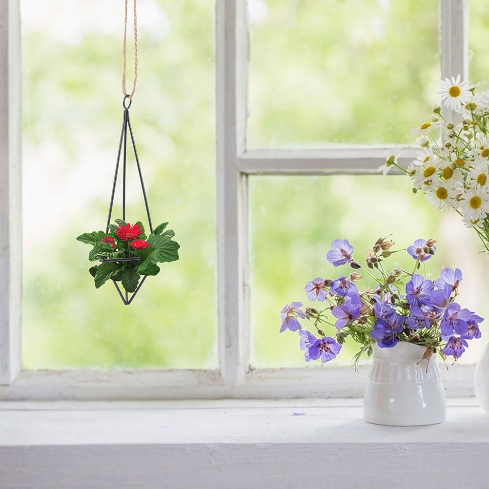 2 Buah Wadah Tanaman Udara Gan - Spider Plant Hanging ulasan dan harga