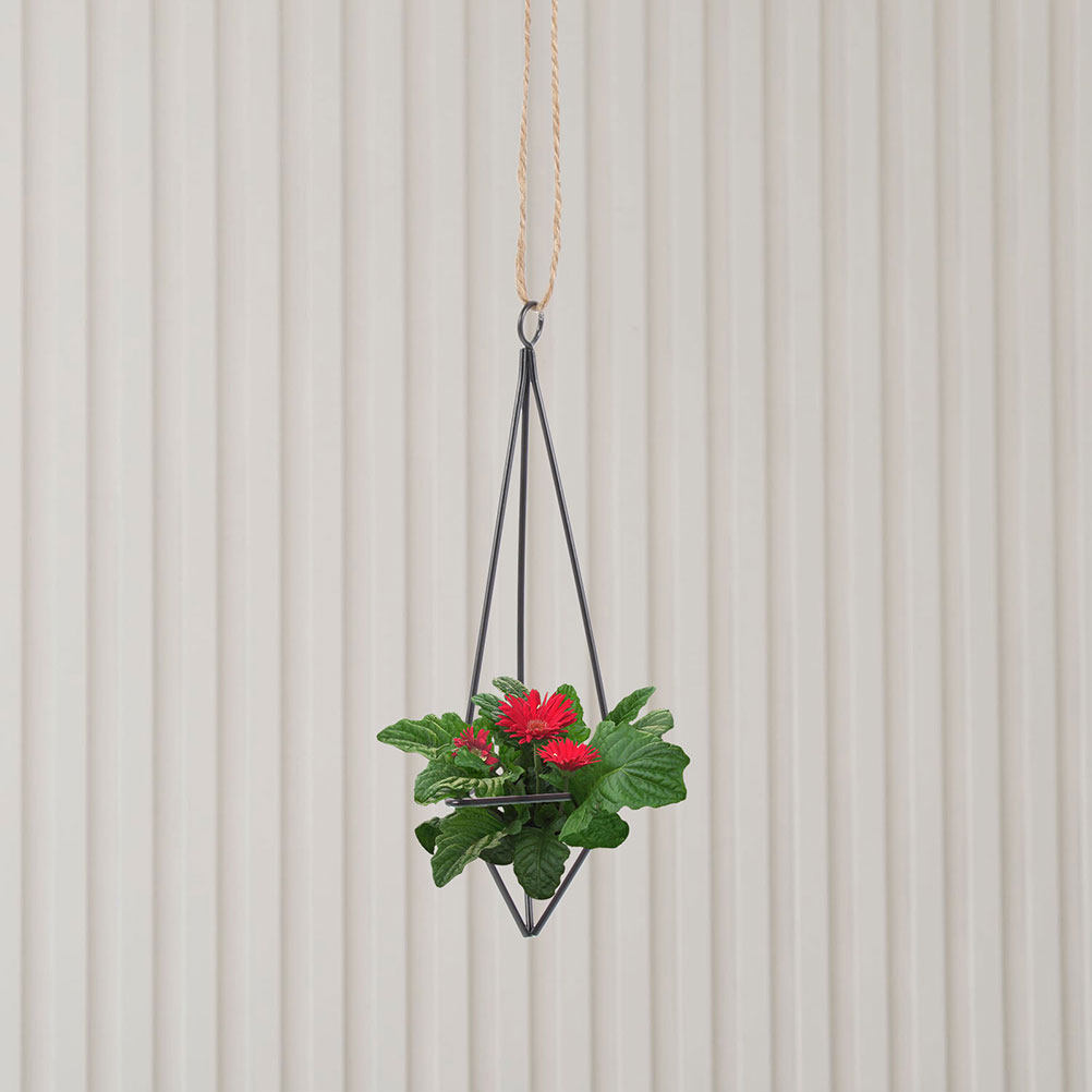2 Buah Wadah Tanaman Udara Gan - Spider Plant Hanging ulasan dan harga
